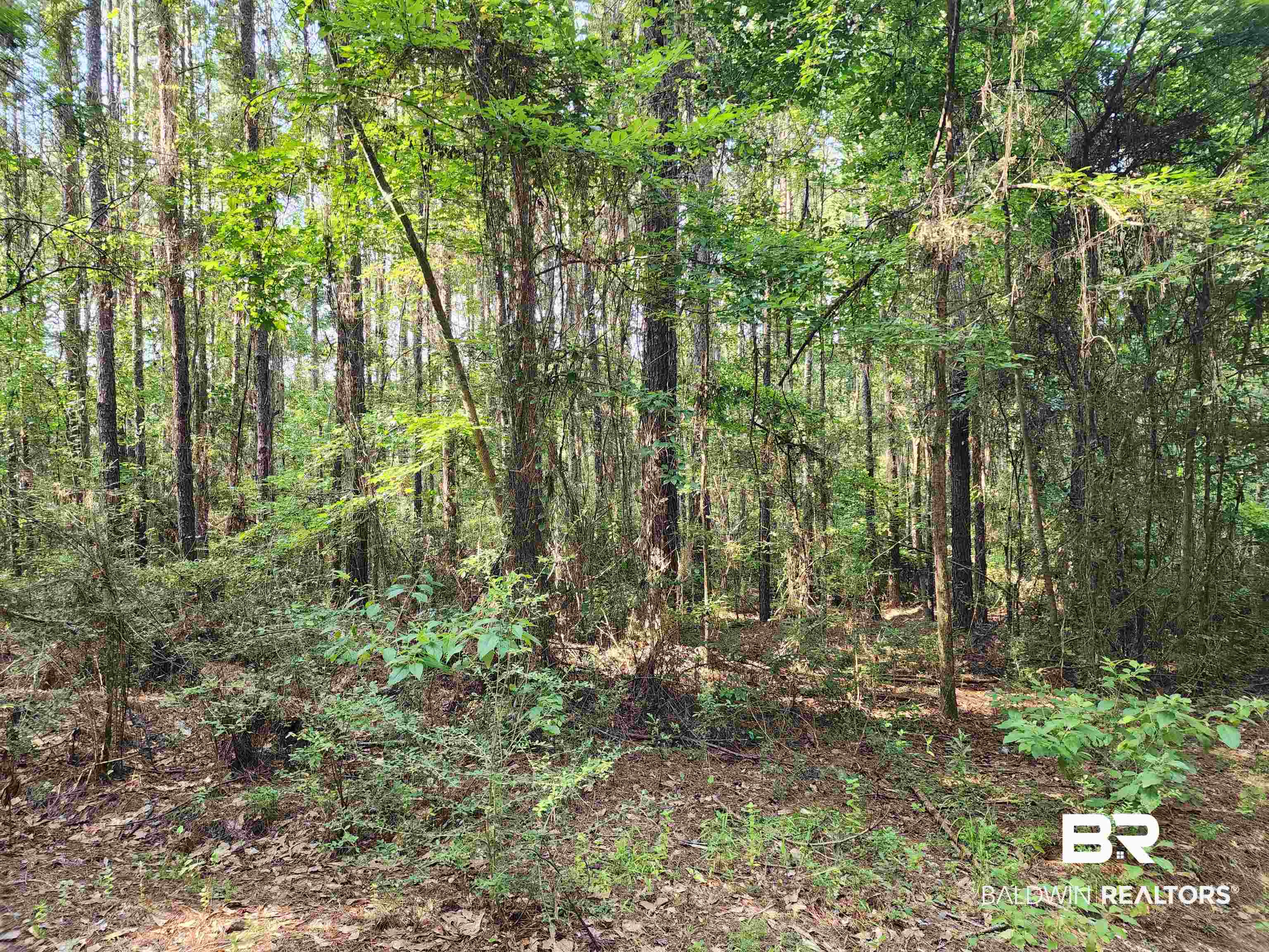 0 Lowery Road Atmore, AL 36502 - Photo 15 of 28