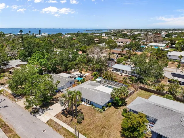 a palm trees sitting in front of a house with a yard