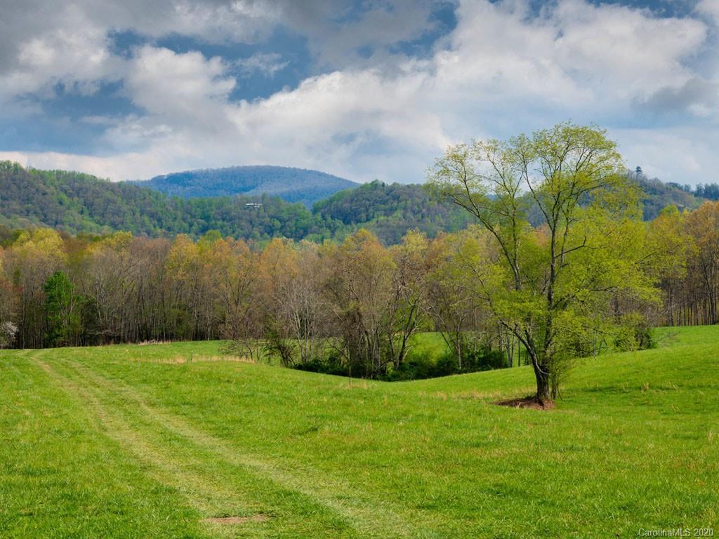 Lot 11 Turkey Ridge Road Fletcher, NC 28732 - Photo 1 of 48 Gallery Image 1
