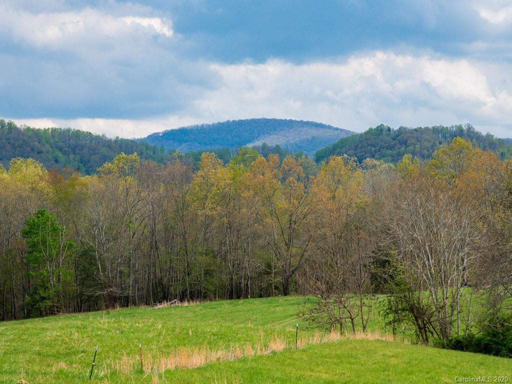 Lot 11 Turkey Ridge Road Fletcher, NC 28732 - Photo 2 of 48 Gallery Image 2