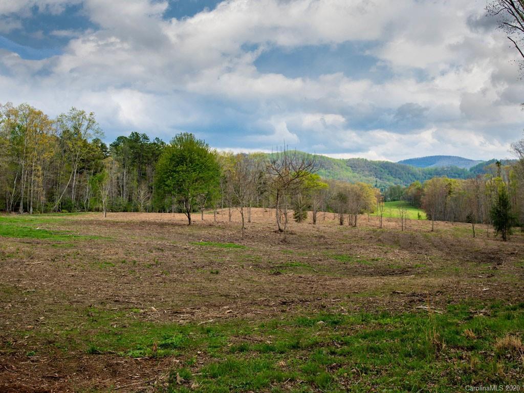 Lot 11 Turkey Ridge Road Fletcher, NC 28732 - Photo 11 of 48 Gallery Image 11