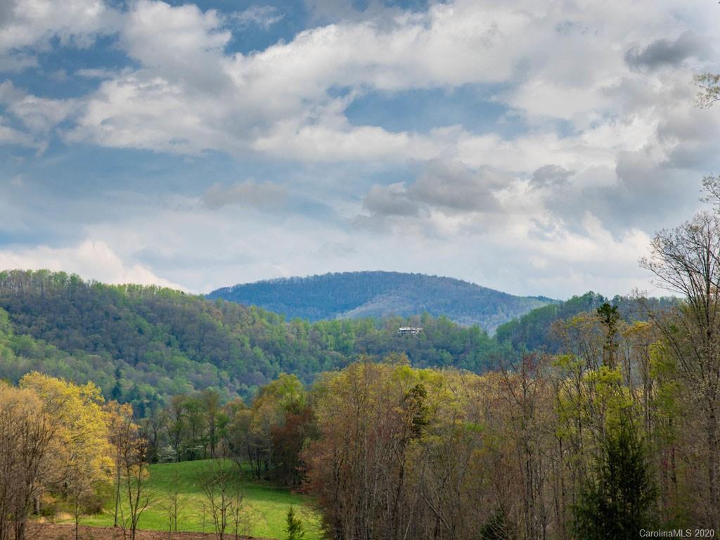 Lot 11 Turkey Ridge Road Fletcher, NC 28732 - Photo 12 of 48 Gallery Image 12