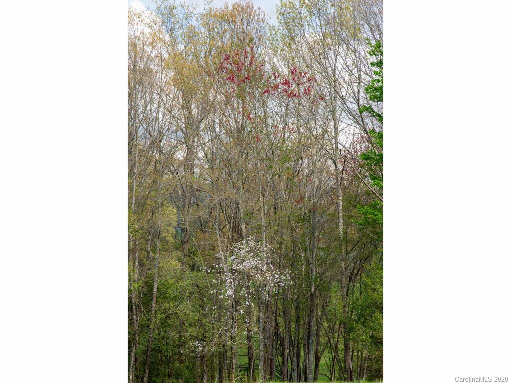 Lot 11 Turkey Ridge Road Fletcher, NC 28732 - Photo 13 of 48 Gallery Image 13