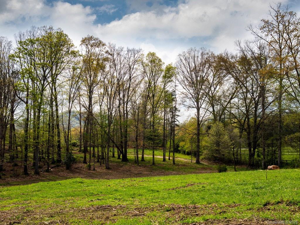 Lot 11 Turkey Ridge Road Fletcher, NC 28732 - Photo 14 of 48 Gallery Image 14