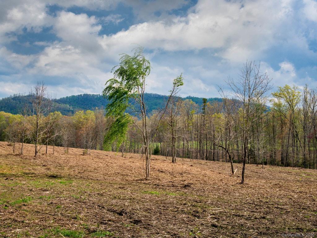 Lot 11 Turkey Ridge Road Fletcher, NC 28732 - Photo 15 of 48 Gallery Image 15