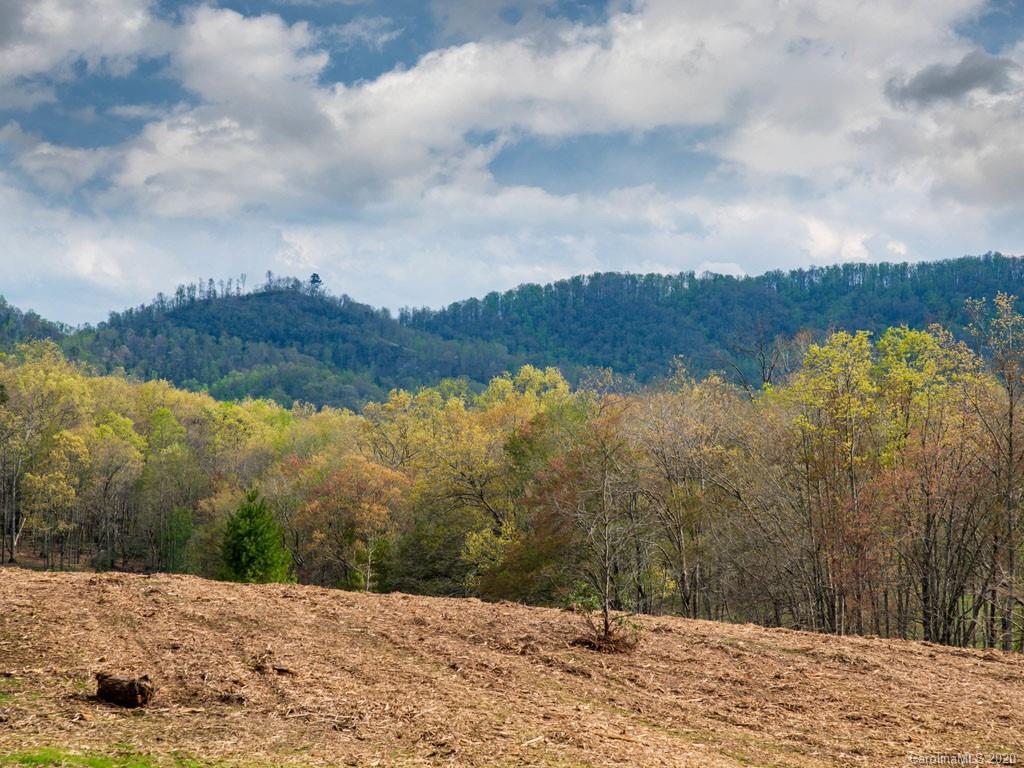 Lot 11 Turkey Ridge Road Fletcher, NC 28732 - Photo 16 of 48 Gallery Image 16