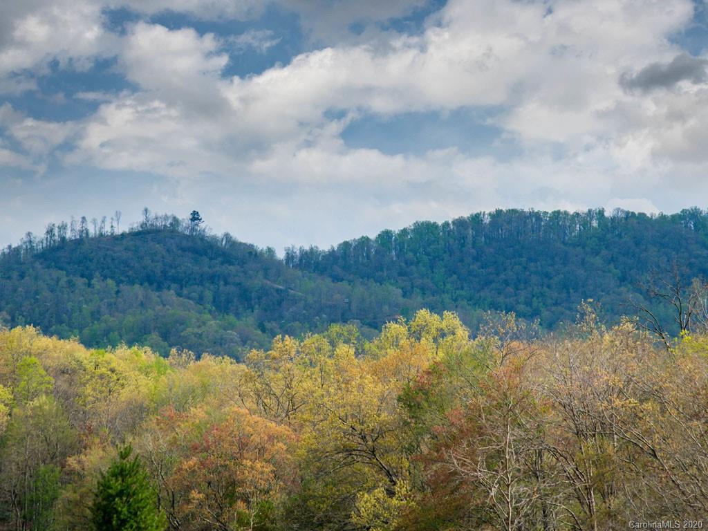 Lot 11 Turkey Ridge Road Fletcher, NC 28732 - Photo 17 of 48 Gallery Image 17