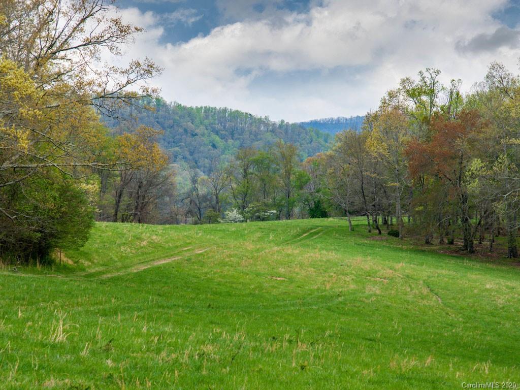 Lot 11 Turkey Ridge Road Fletcher, NC 28732 - Photo 18 of 48 Gallery Image 18