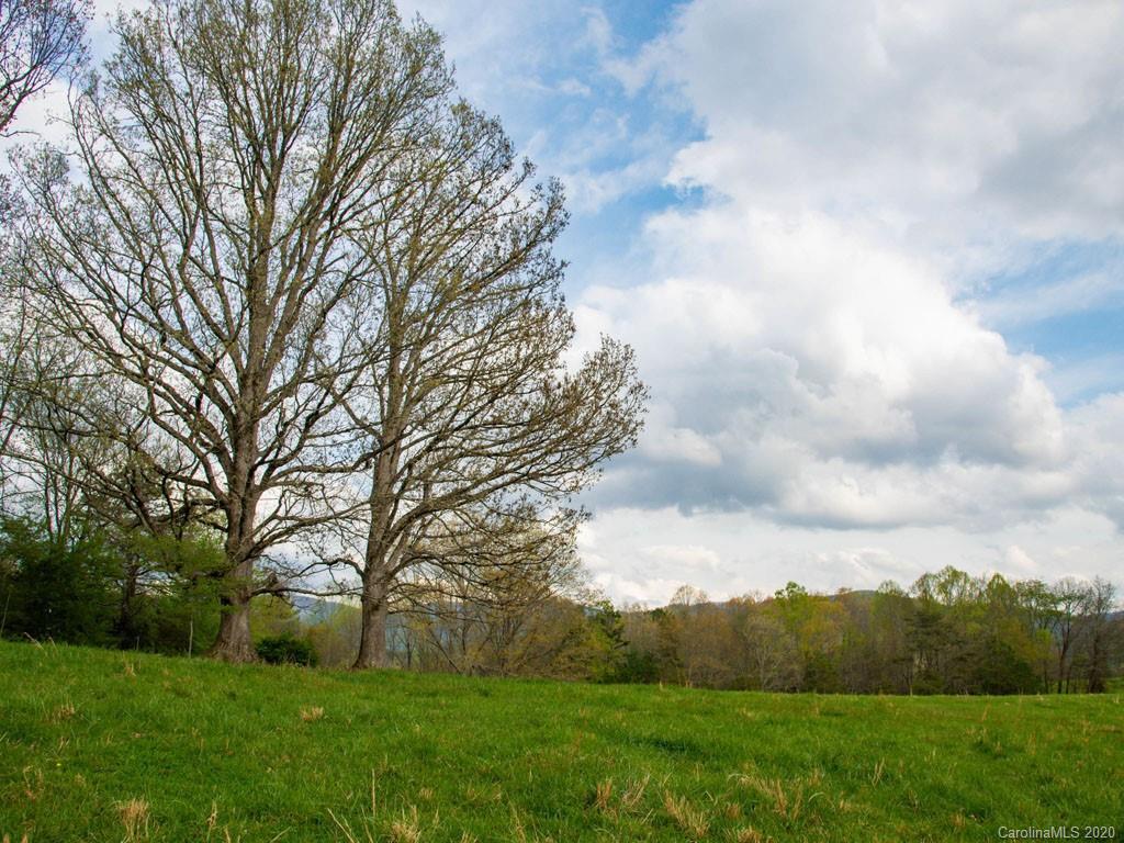 Lot 11 Turkey Ridge Road Fletcher, NC 28732 - Photo 24 of 48 Gallery Image 24