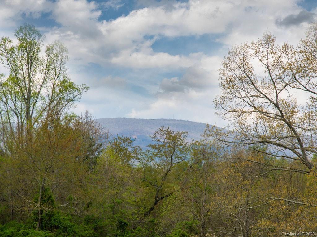 Lot 11 Turkey Ridge Road Fletcher, NC 28732 - Photo 28 of 48 Gallery Image 28