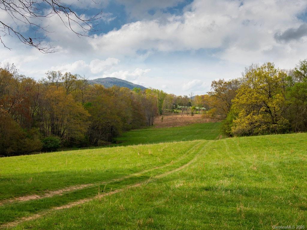 Lot 11 Turkey Ridge Road Fletcher, NC 28732 - Photo 29 of 48 Gallery Image 29