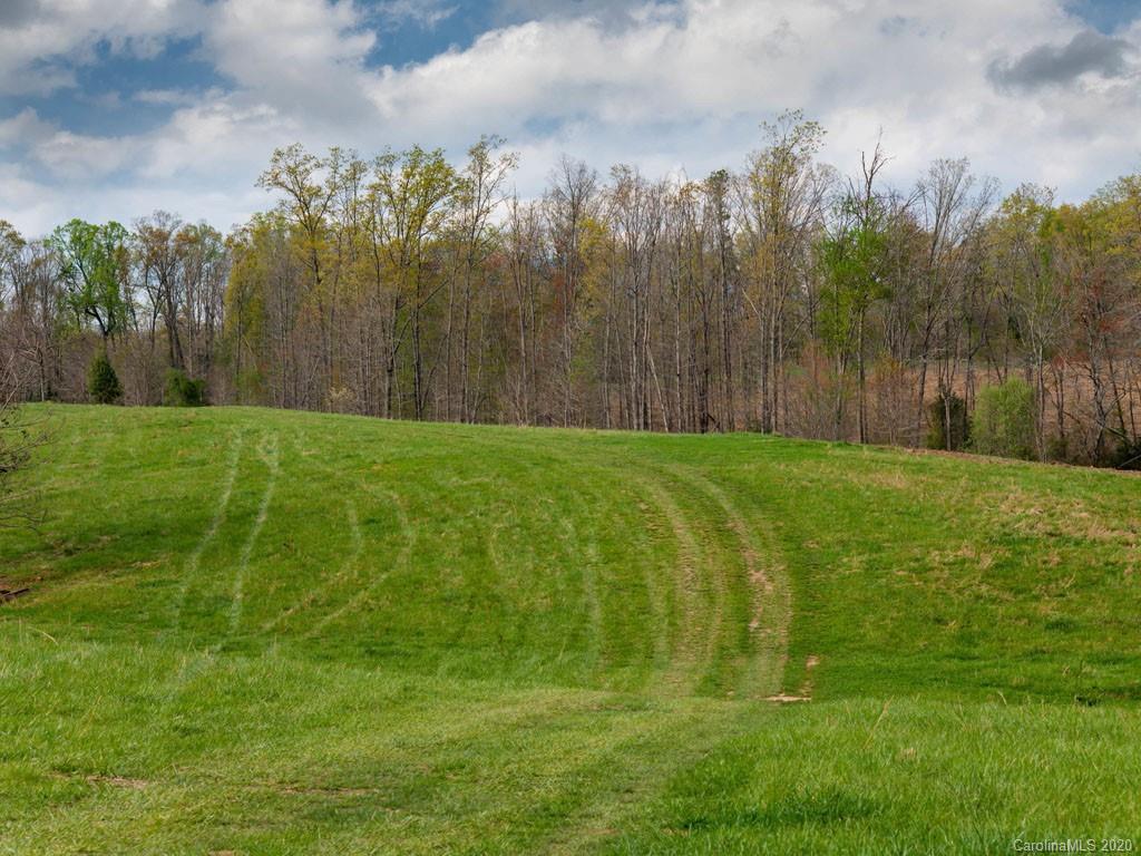 Lot 11 Turkey Ridge Road Fletcher, NC 28732 - Photo 4 of 48 Gallery Image 4