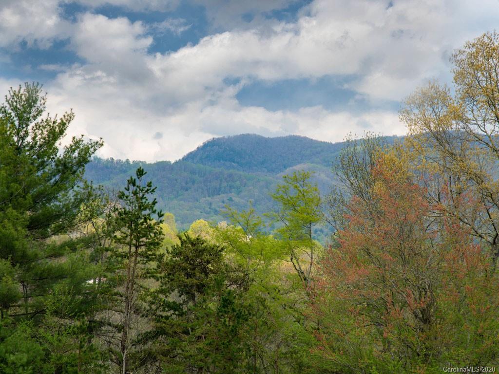 Lot 11 Turkey Ridge Road Fletcher, NC 28732 - Photo 33 of 48 Gallery Image 33
