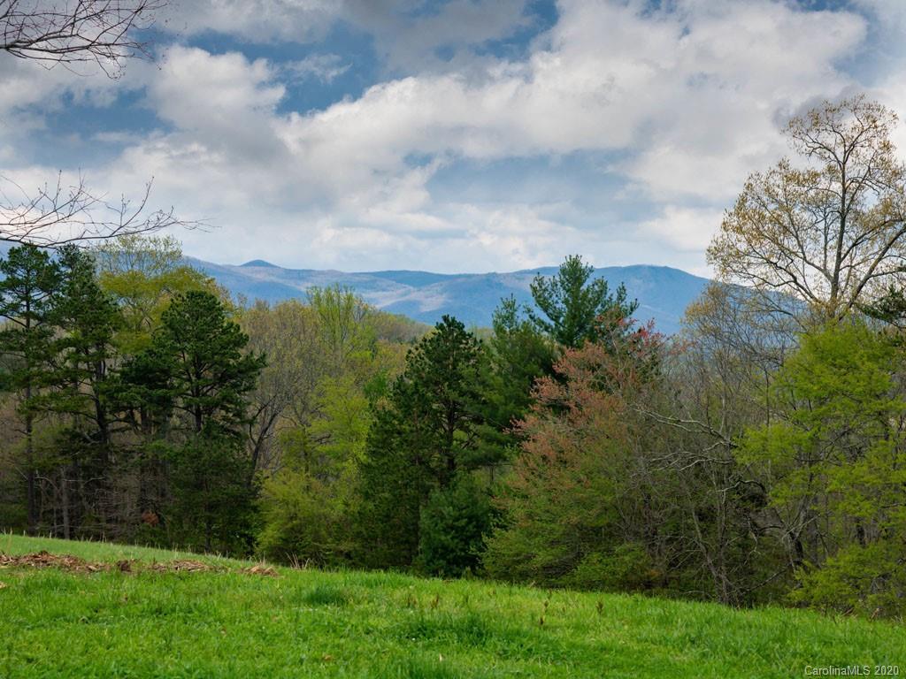 Lot 11 Turkey Ridge Road Fletcher, NC 28732 - Photo 35 of 48 Gallery Image 35