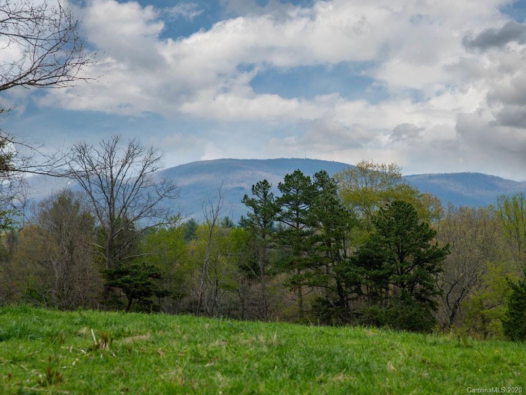 Lot 11 Turkey Ridge Road Fletcher, NC 28732 - Photo 40 of 48 Gallery Image 40