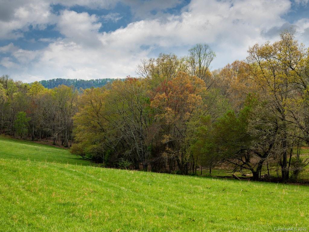 Lot 11 Turkey Ridge Road Fletcher, NC 28732 - Photo 5 of 48 Gallery Image 5
