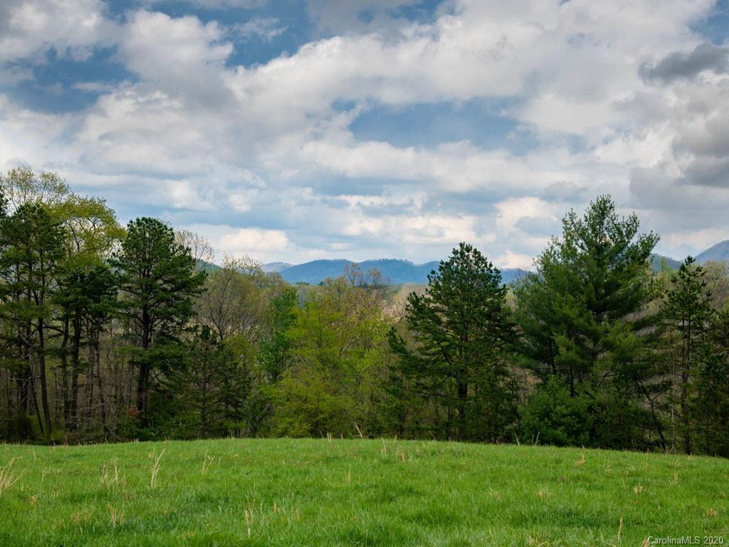 Lot 11 Turkey Ridge Road Fletcher, NC 28732 - Photo 41 of 48 Gallery Image 41