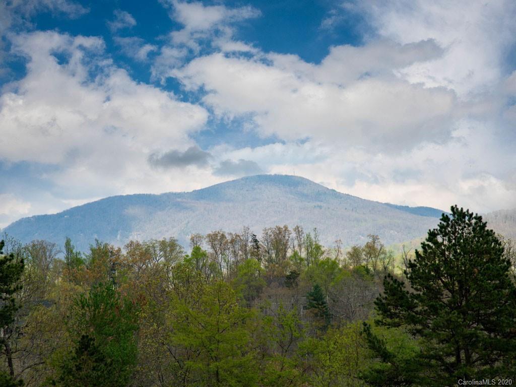 Lot 11 Turkey Ridge Road Fletcher, NC 28732 - Photo 45 of 48 Gallery Image 45