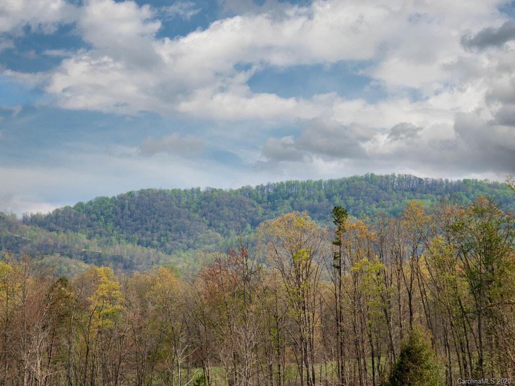 Lot 11 Turkey Ridge Road Fletcher, NC 28732 - Photo 46 of 48 Gallery Image 46