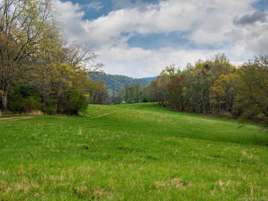 Lot 11 Turkey Ridge Road Fletcher, NC 28732 - Photo 6 of 48 Gallery Image 6