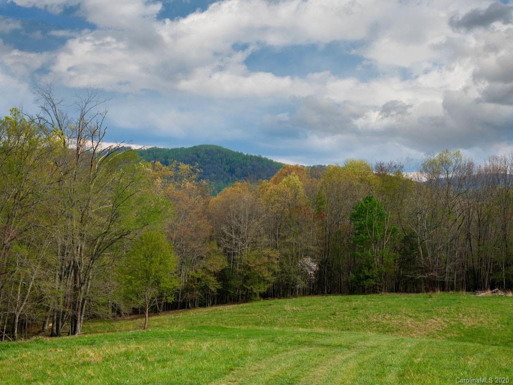 Lot 11 Turkey Ridge Road Fletcher, NC 28732 - Photo 7 of 48 Gallery Image 7