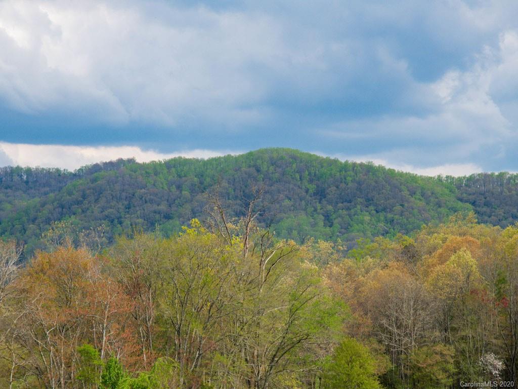 Lot 11 Turkey Ridge Road Fletcher, NC 28732 - Photo 9 of 48 Gallery Image 9