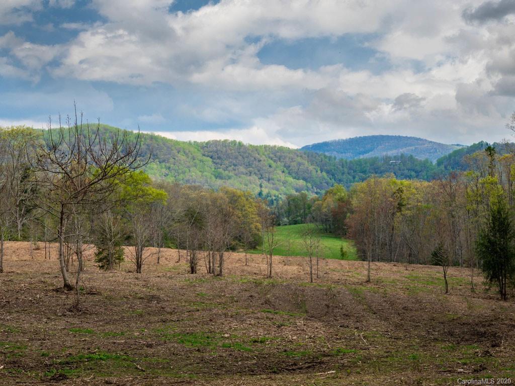 Lot 11 Turkey Ridge Road Fletcher, NC 28732 - Photo 10 of 48 Gallery Image 10