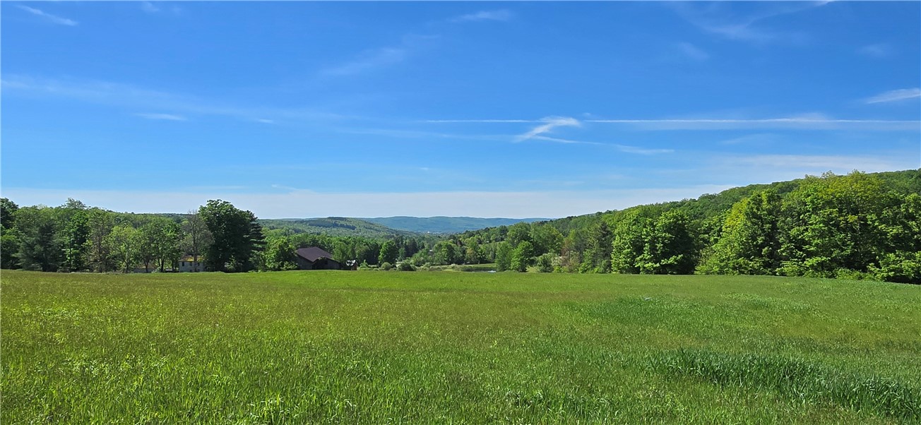 324 Murphy Hill Road Catlin, NY 14845 - Photo 35 of 47