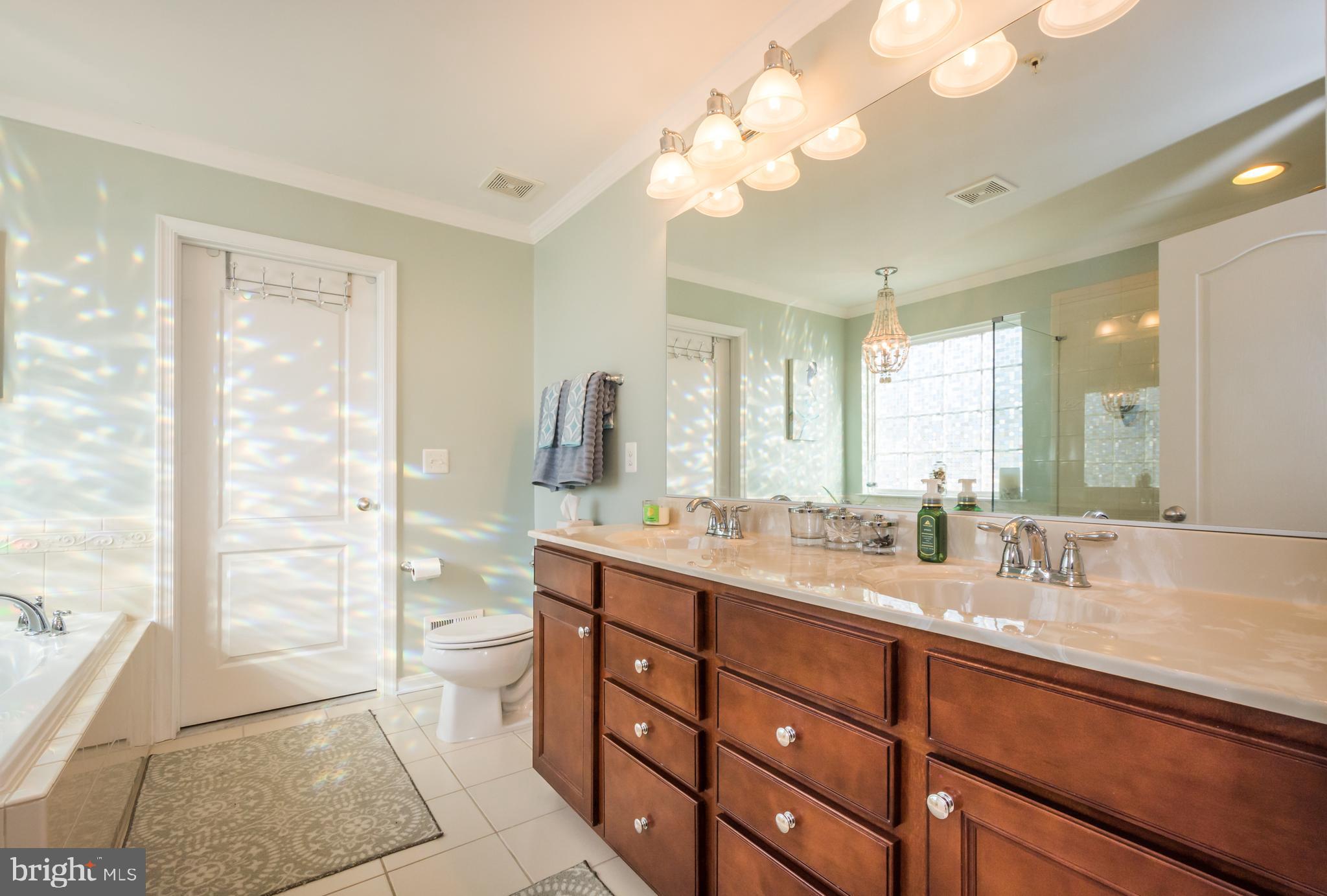 733 Daft Road Baltimore, MD 21220 - Photo 39 of 62 Owners Luxury Bathroom