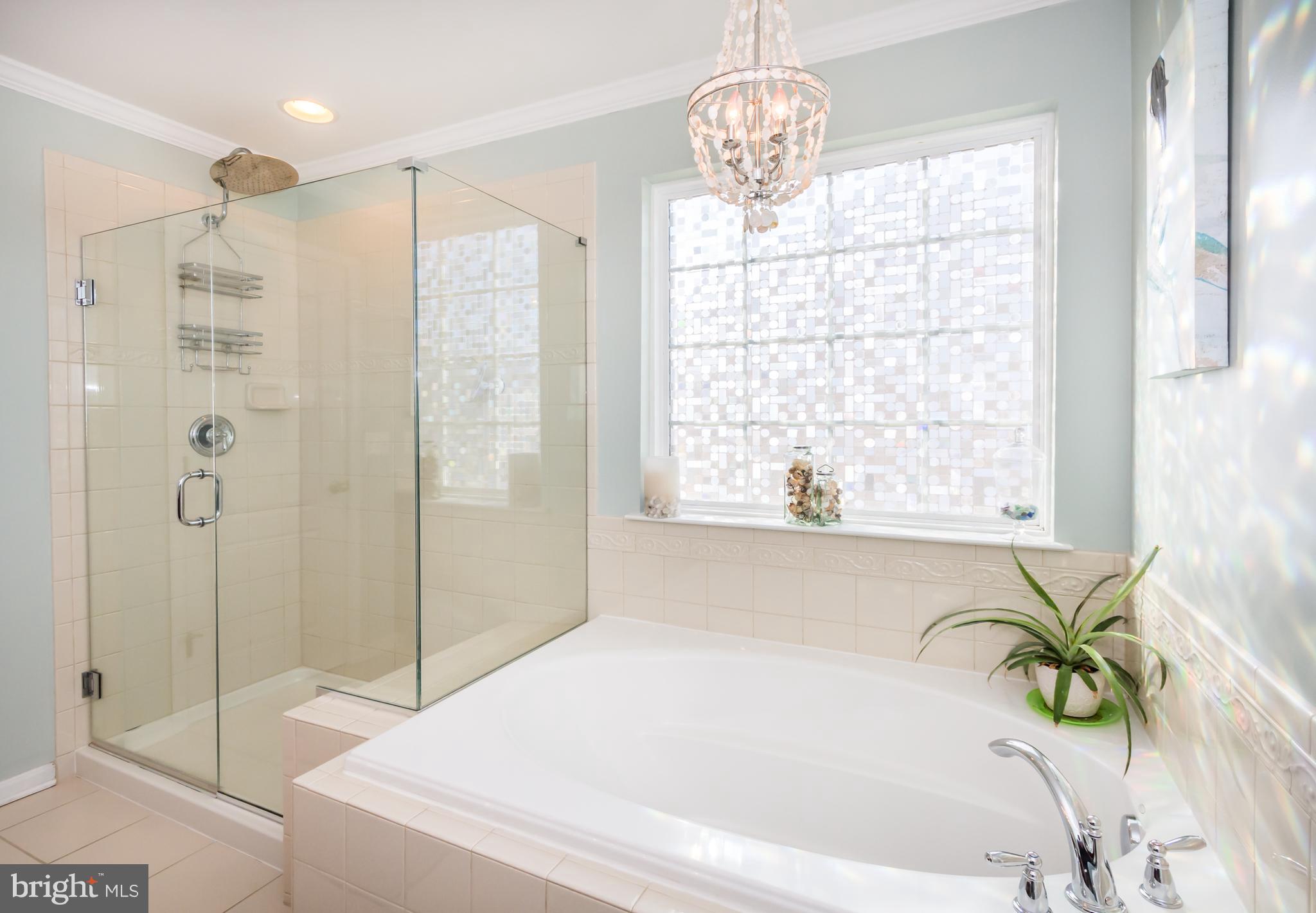 733 Daft Road Baltimore, MD 21220 - Photo 41 of 62 Custom Shower with adjoining Soaking Tub