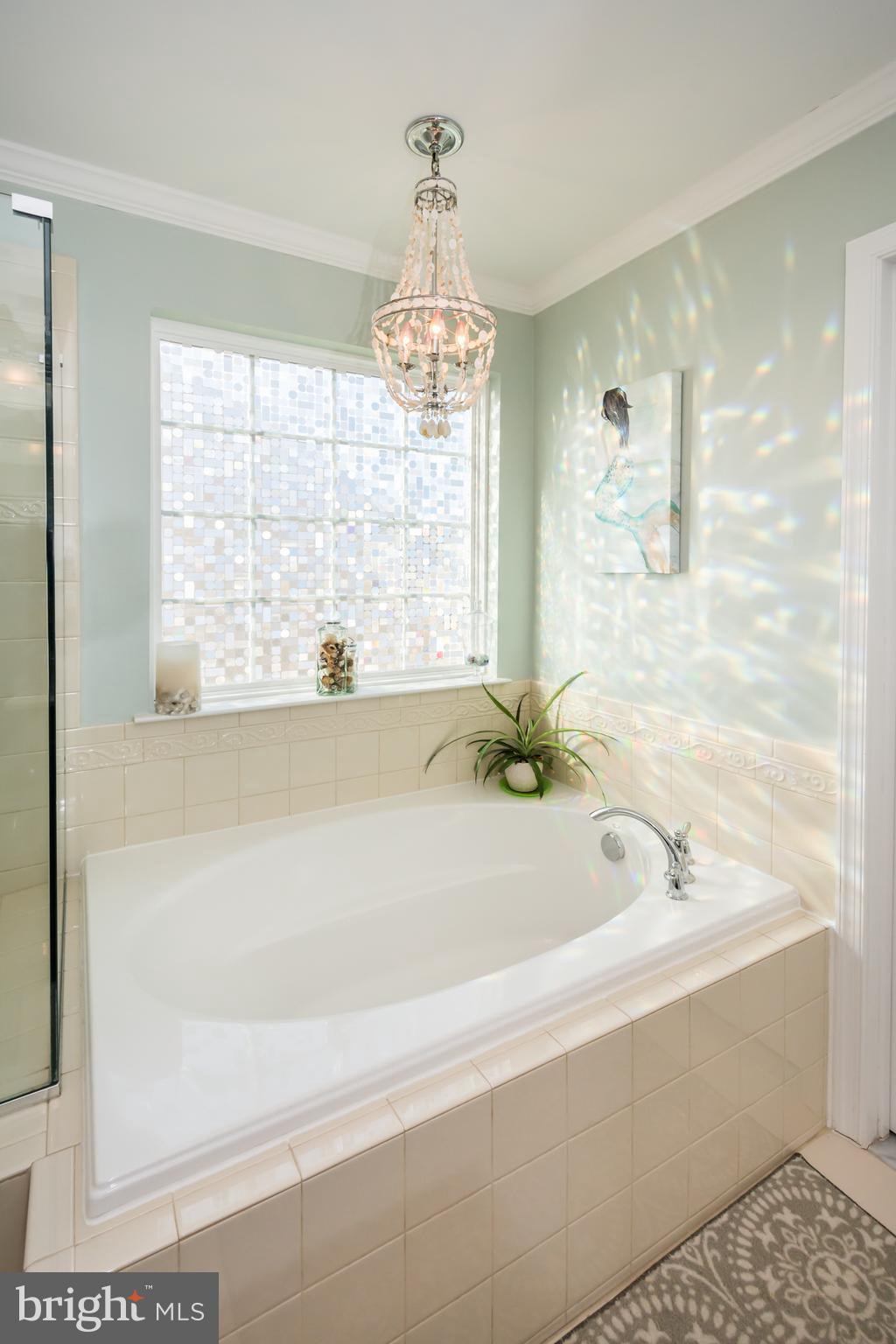 733 Daft Road Baltimore, MD 21220 - Photo 42 of 62 Soaking Tub
