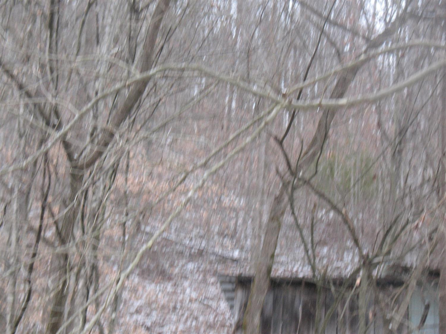 789 Darby Branch Road Manchester, KY 40962 - Photo 10 of 12 Photo 10
