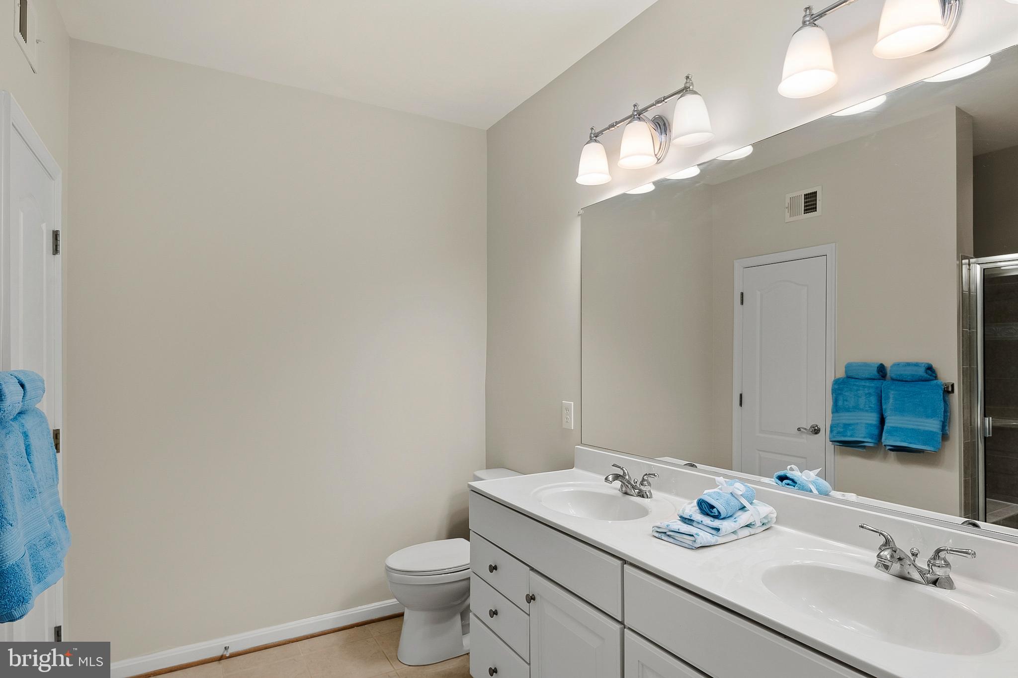 7315 Maplecrest Road, Unit 105 Elkridge, MD 21075 - Photo 16 of 52 Primary Bath