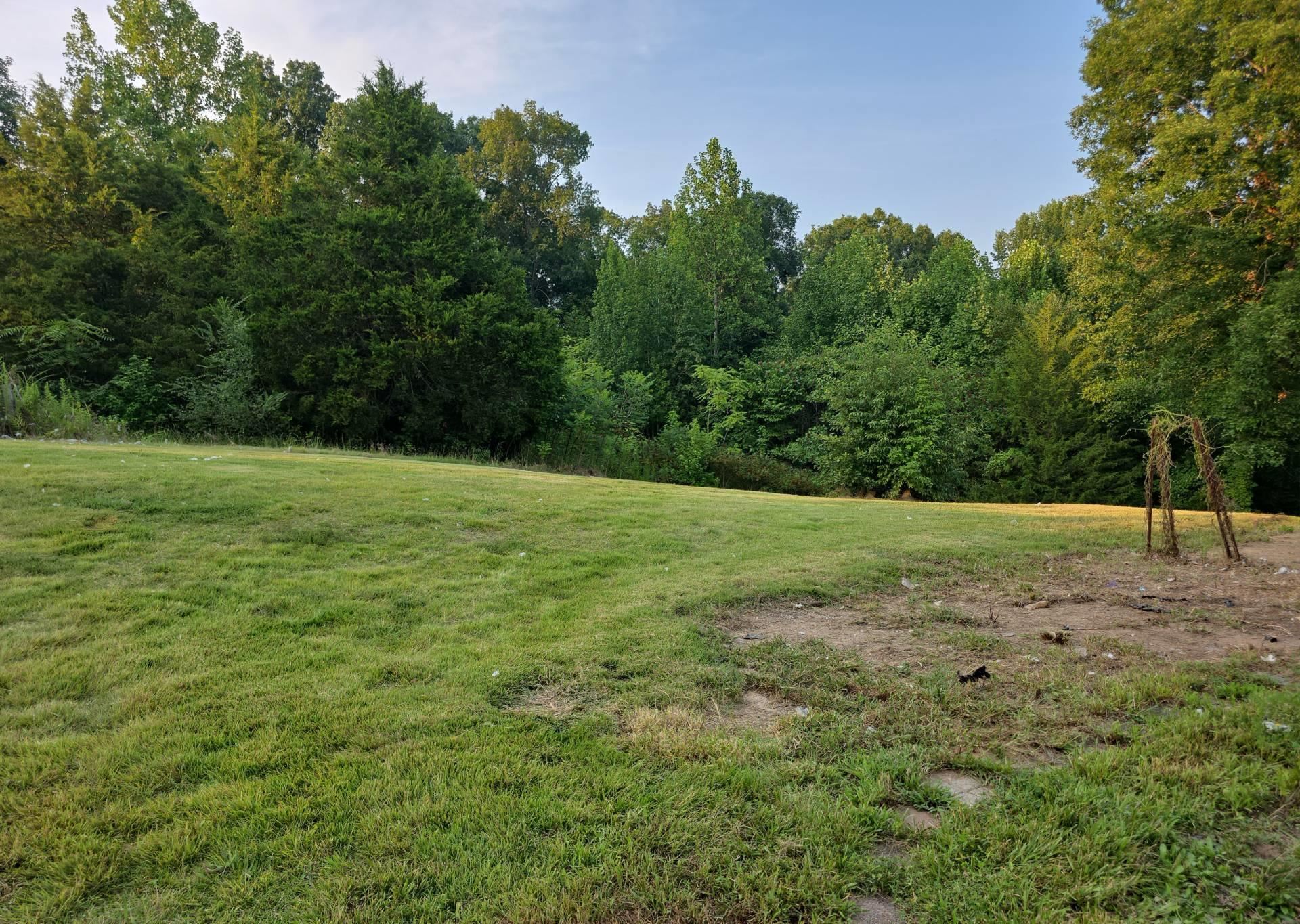 Expansive grassy area bordered by mature trees