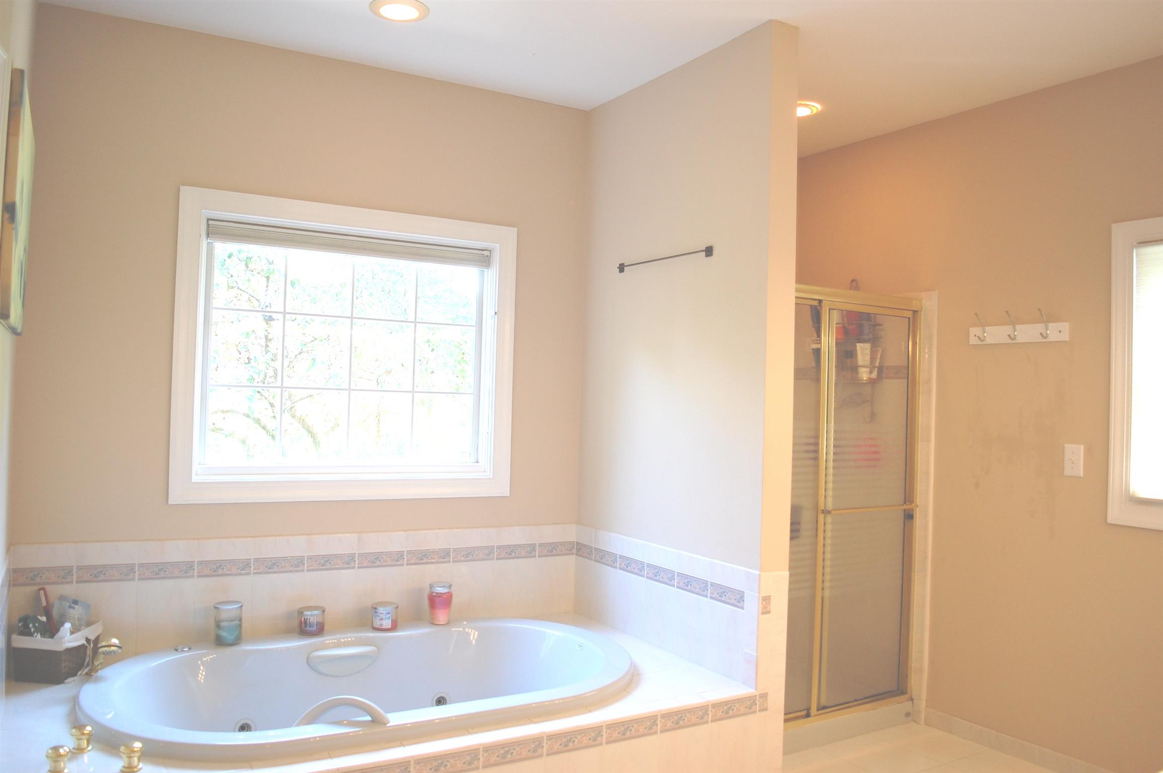 545 Pond Apple Road Clarksville, TN 37043 - Photo 10 of 22 Your Master Bathroom Features An Oversized Tub to Relax In After A Long Day!