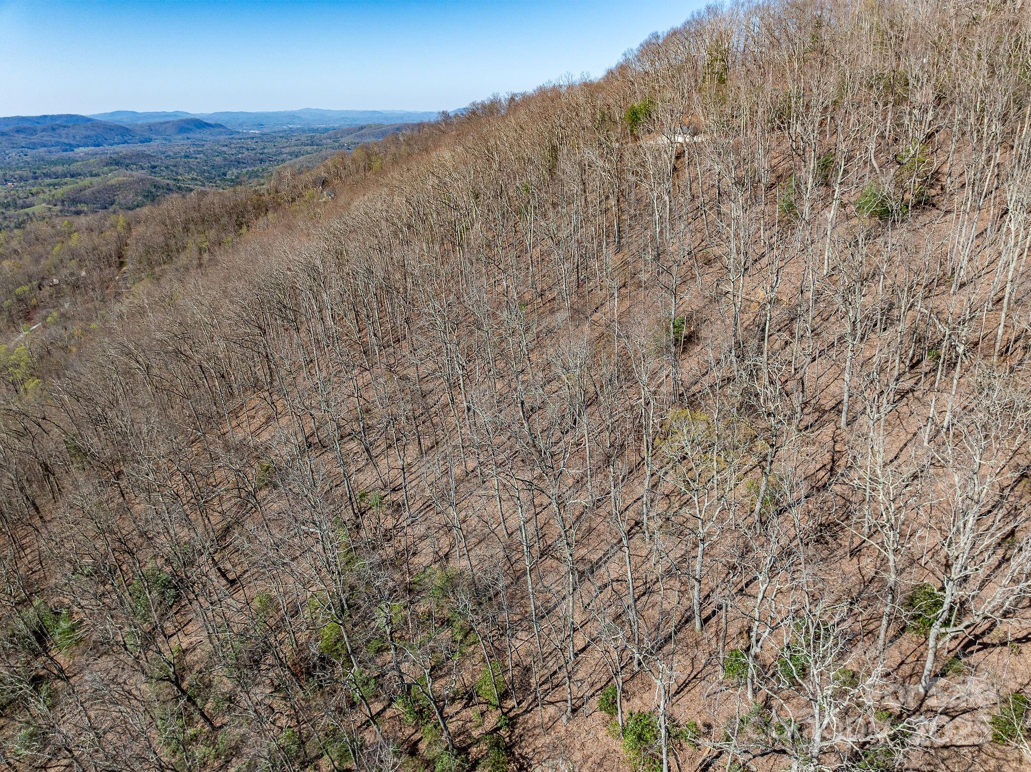 99999 Chestnut Forest Road, Unit 412 & #413 Fairview, NC 28730 - Photo 29 of 36