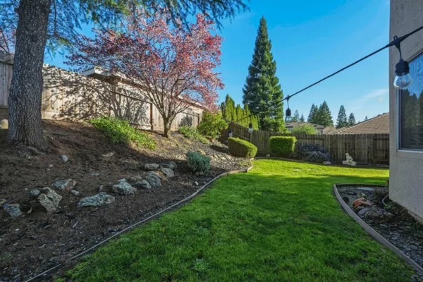 a view of a back yard