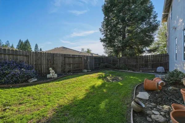 a view of a backyard with plants and a garden
