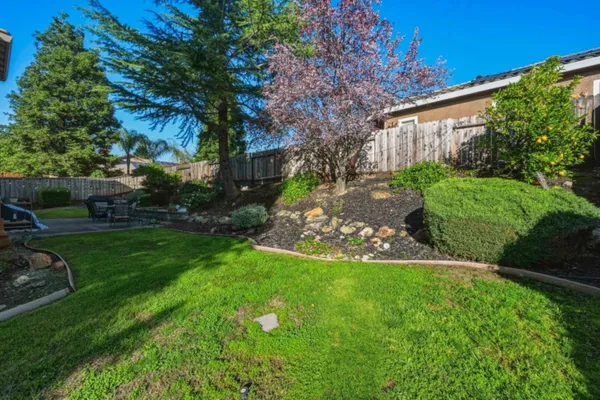a view of a backyard with plants and large tree