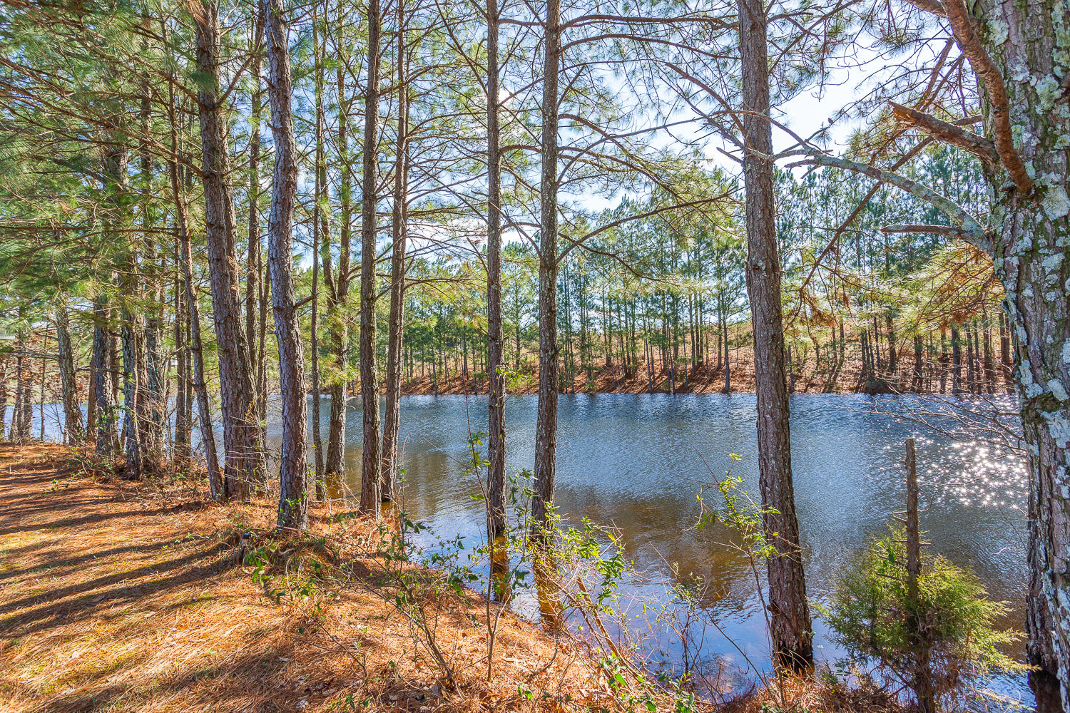 30 Maple Leaf Drive Rock Spring, GA 30739 - Photo 13 of 48 30 Maple HD_-14