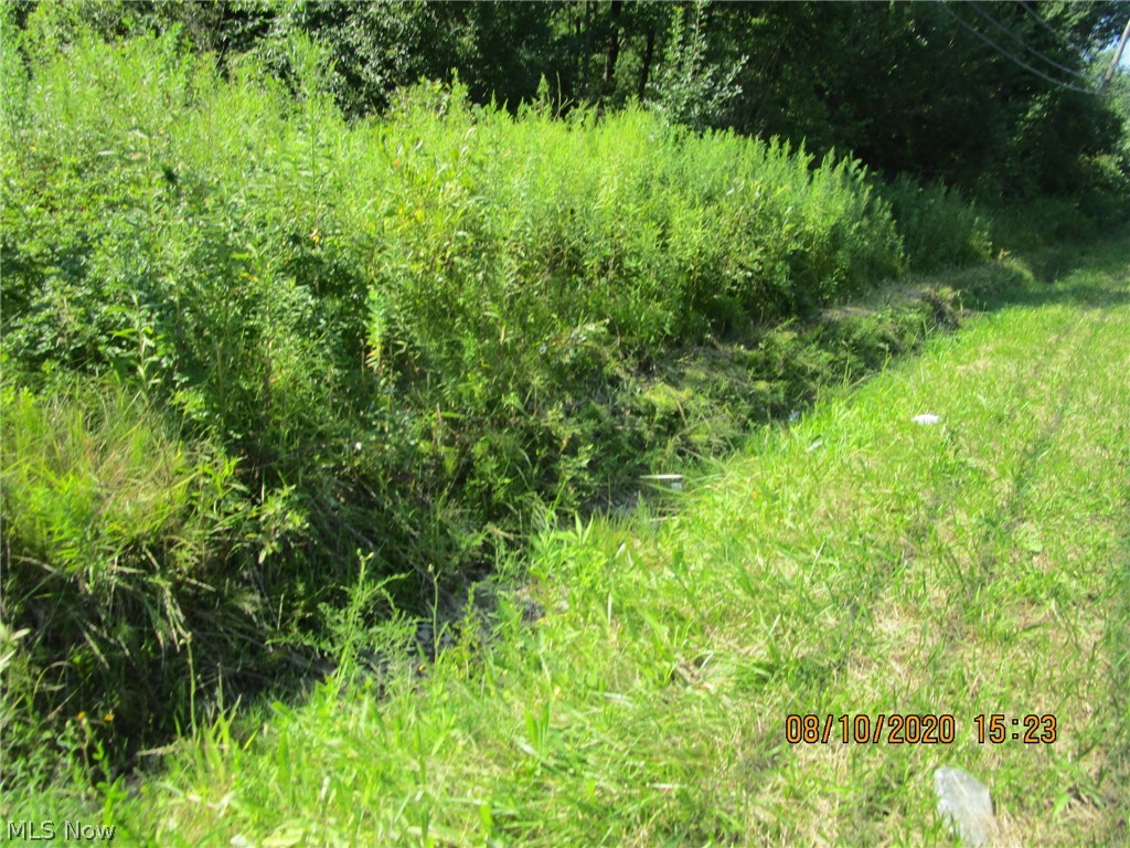 Countyline Road Geneva, OH 44041 - Photo 10 of 20