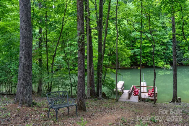 a view of a park with large trees