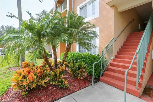 a view of a backyard with plants