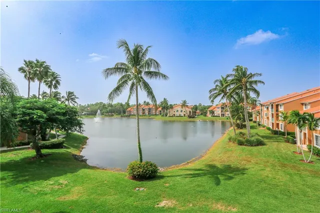 a view of a lake with a palm trees