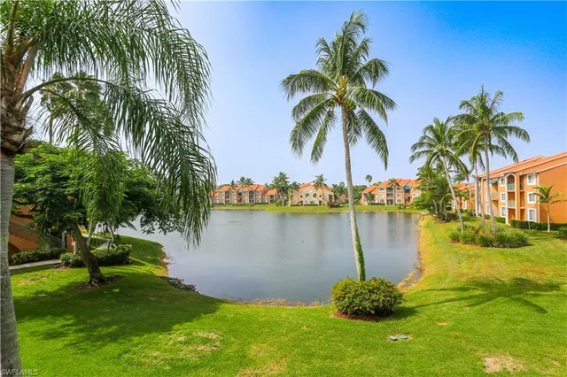 a lake with palm trees