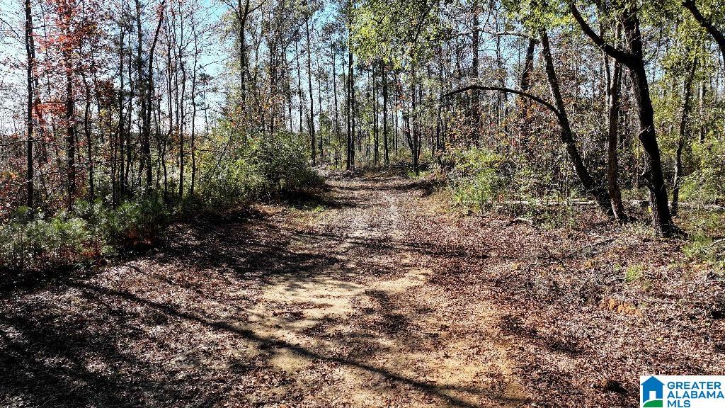 200 Kelly Creek Road Odenville, AL 35120 - Photo 36 of 47