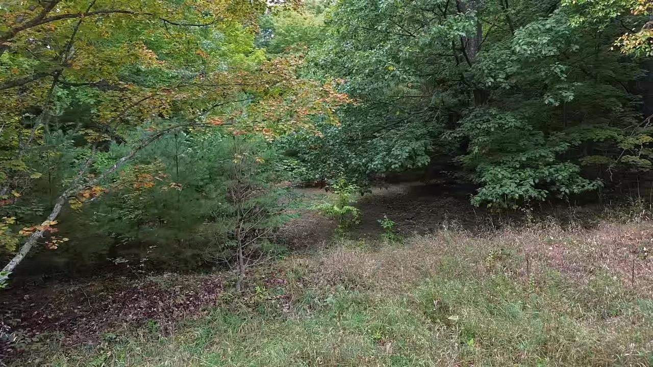 0 South Fritz Road Empire, MI 49630 - Photo 19 of 28