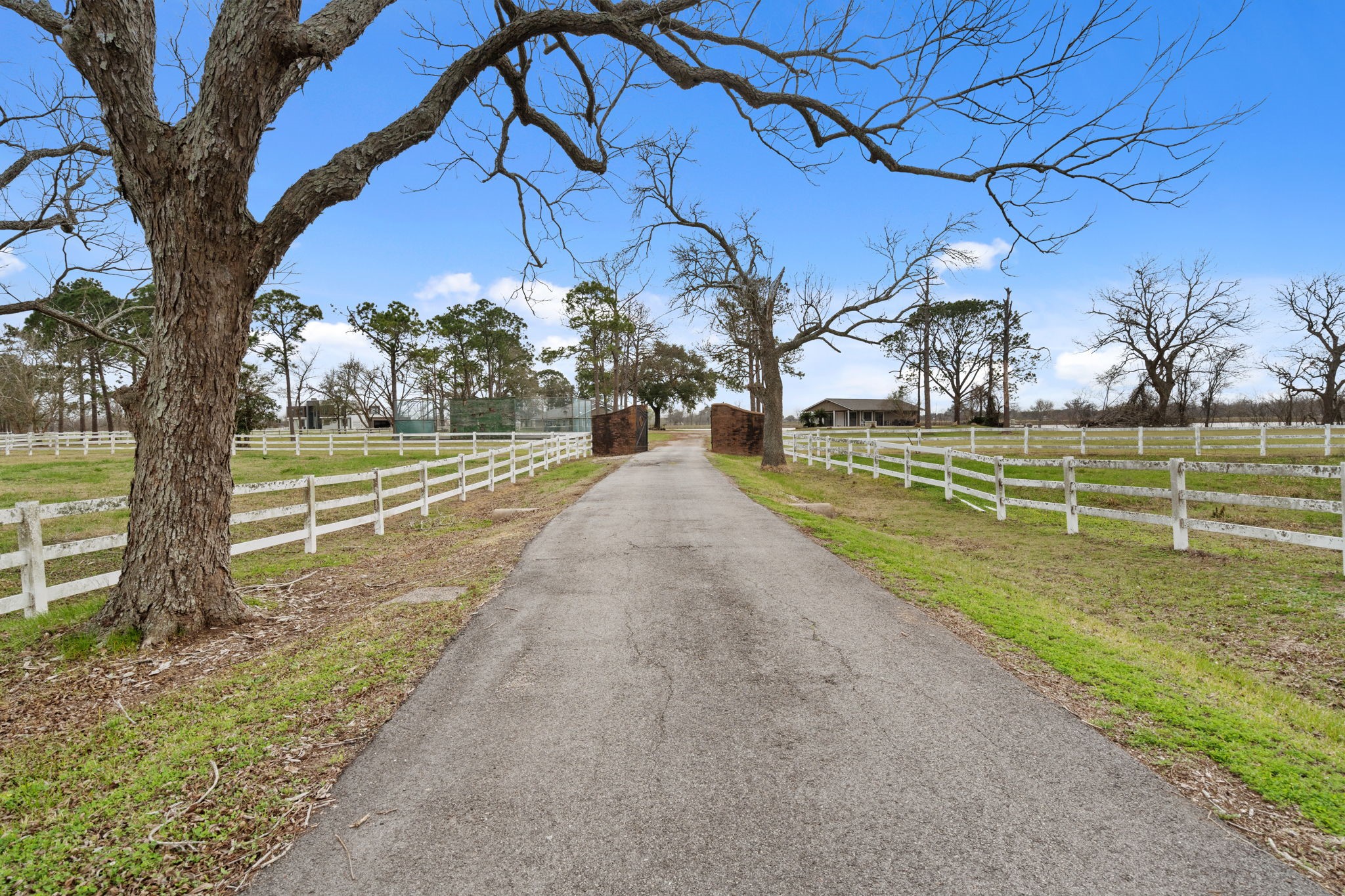 2935 West Fm 1462 Rosharon, TX 77583 - Photo 3 of 50 This picturesque ranch drive creates a grand yet peaceful approach to the property, framed by classic white fencing and mature, arching trees. The paved drive stretches straight ahead, drawing the eye toward the ranch buildings in the distance and setting a calm, welcoming tone from the moment you arrive. Open pastures on both sides enhance the sense of space and openness, while the natural canopy overhead adds character and charm.