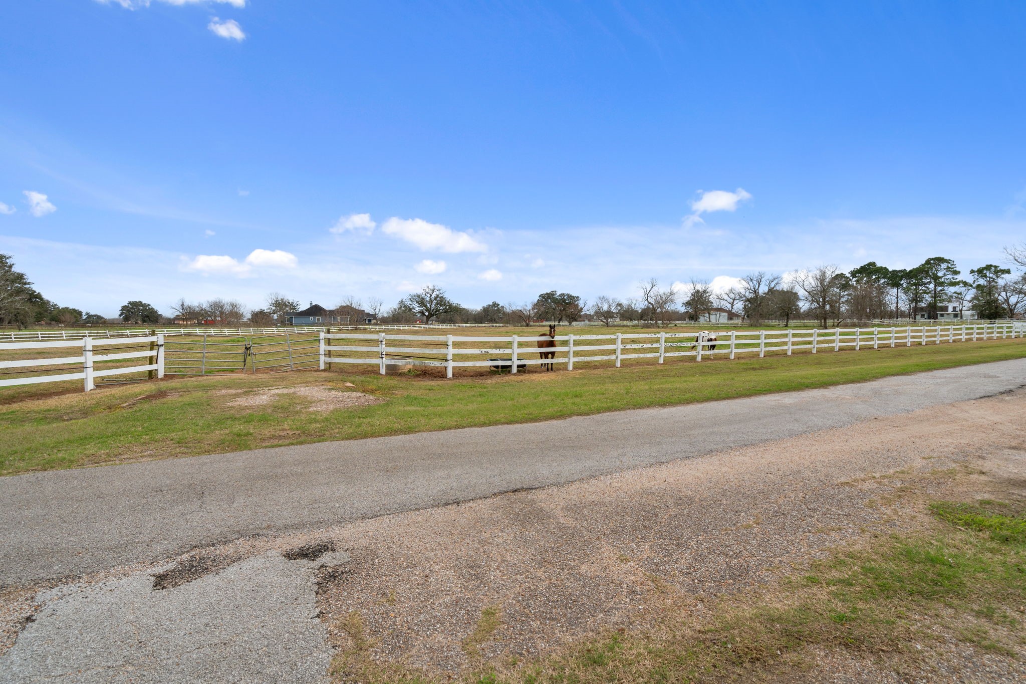2935 West Fm 1462 Rosharon, TX 77583 - Photo 4 of 50 This peaceful ranch scene features wide, open pastureland enclosed by classic white fencing, creating a clean and well-maintained look across the property.
