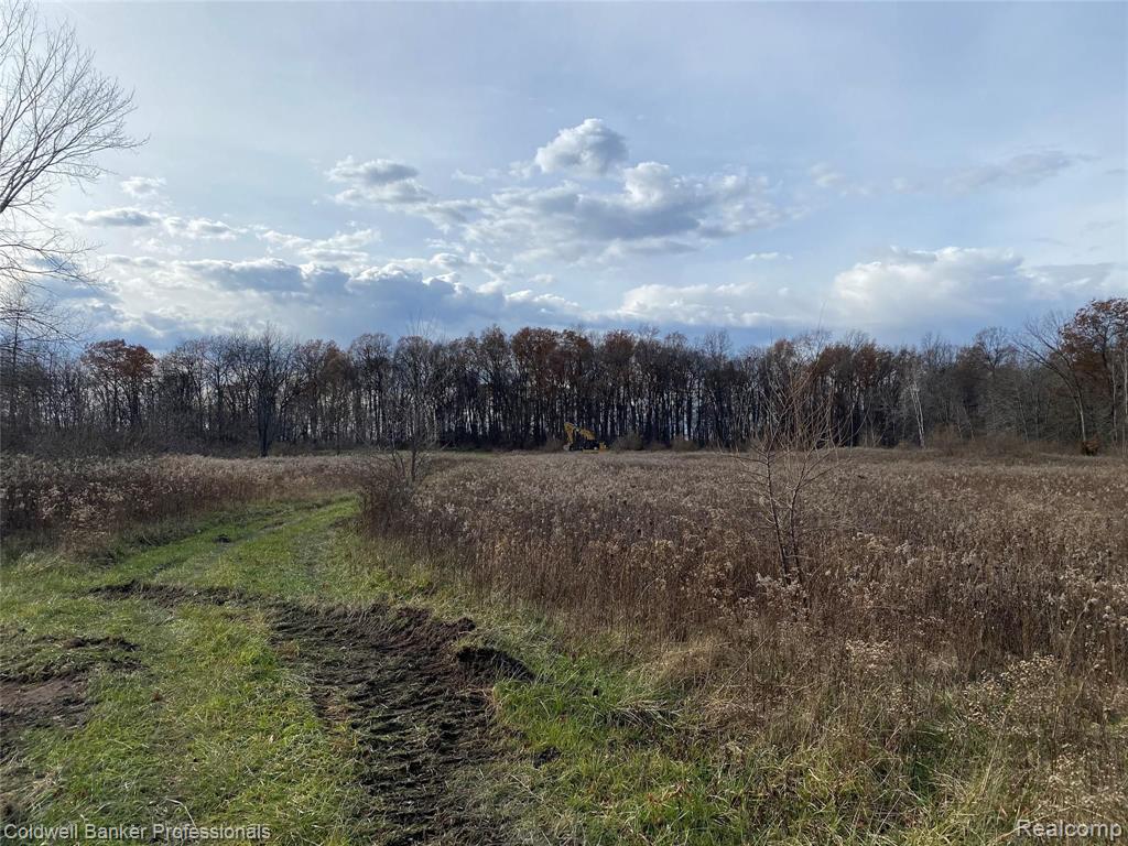 Vl Vl Rohn Parcel Road Fenton, MI 48430 - Photo 5 of 7